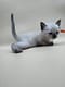 3_