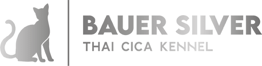 Bauer Silver – Thai cica kennel